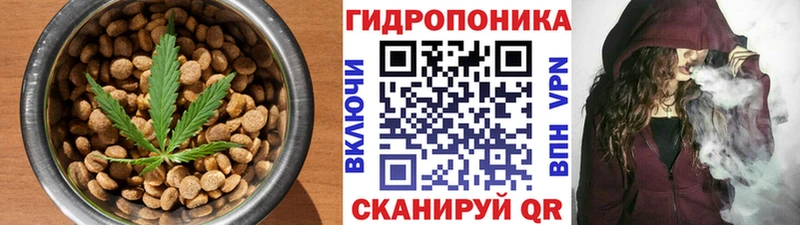 купить наркотики цена  Дубна  Canna-Cookies конопля 