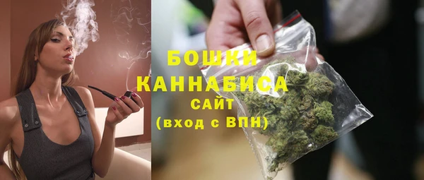 СК Богородск