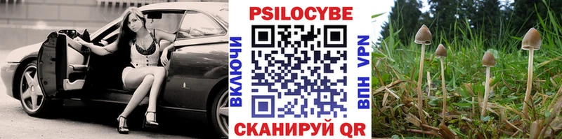 Псилоцибиновые грибы GOLDEN TEACHER  Дубна 